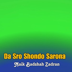 Album Da Sro Shondo Sarona from 