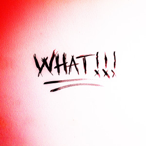 Sky Blu的專輯WHAT!!! (Extended Workout Mix) (Explicit)