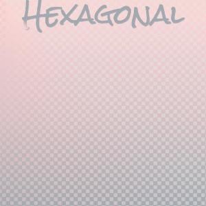 Various Artists的專輯Hexagonal