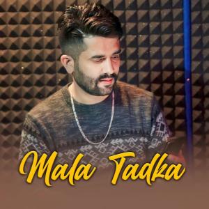 收聽Thakur Saab的Mala Tadka歌詞歌曲