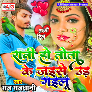 ดาวน์โหลดและฟังเพลง Rani Ho Tota Ke Jaise Ud Gailu พร้อมเนื้อเพลงจาก Raj Rajdhani