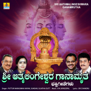 Puttur Narasimha Nayak的專輯Sri Aathmalingeshwara Ganamrutha