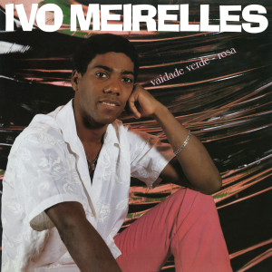 ดาวน์โหลดและฟังเพลง Vaidade Verde-Rosa พร้อมเนื้อเพลงจาก Ivo Meirelles