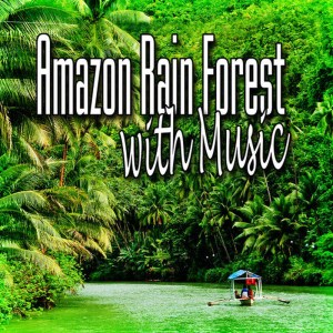 ดาวน์โหลดและฟังเพลง Rain Forest Meditation and Healing Music (Nature Sounds) พร้อมเนื้อเพลงจาก Music for Meditation