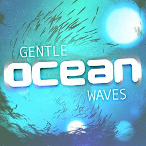ดาวน์โหลดและฟังเพลง Waves: Calming Sea พร้อมเนื้อเพลงจาก Outside Broadcast Recordings