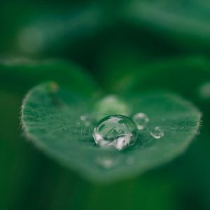 Dengarkan lagu Centering Sounds nyanyian Relaxing Music Therapy dengan lirik