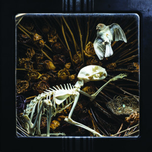 Listen to Cold and Dead song with lyrics from William Elliott Whitmore