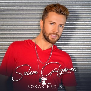 Listen to Sokak Kedisi song with lyrics from Selim Gulgoren