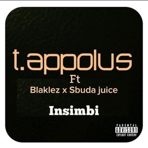 Album Insimbi (Explicit) from T.Appolus