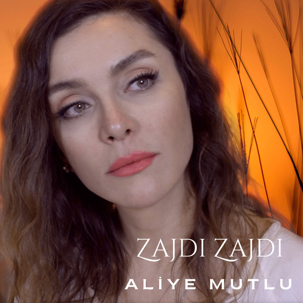 Zajdi Zajdi