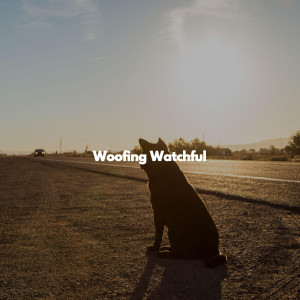 Cool Jazz Relaxation Radio的專輯Woofing Watchful