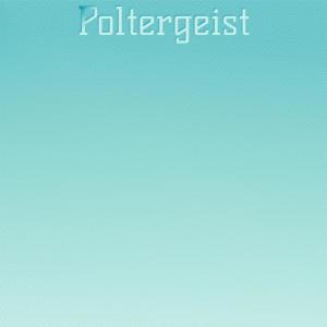 Album Poltergeist from Silvia Natiello-Spiller
