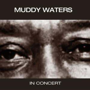 收聽Muddy Watters的Blow Wind Blow (Live)歌詞歌曲