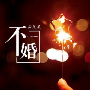 Listen to 不婚 (完整版) song with lyrics from 向思思