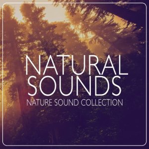 ดาวน์โหลดและฟังเพลง Sat by the Water พร้อมเนื้อเพลงจาก Outside Broadcast Recordings