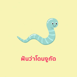 收听TimeTime的ฝันว่าโดนงูกัด歌词歌曲