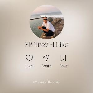 SB Trev的專輯I Like