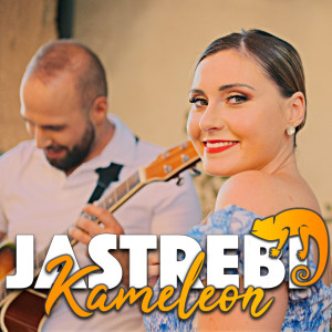 Listen to Kameleon song with lyrics from Jastrebi