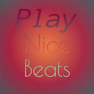 Album Play Nice Beats from Various