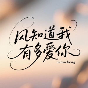 Album 风会告诉你我有多爱你 from 发财小橙