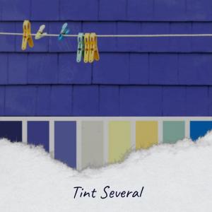 Various Artists的專輯Tint Several