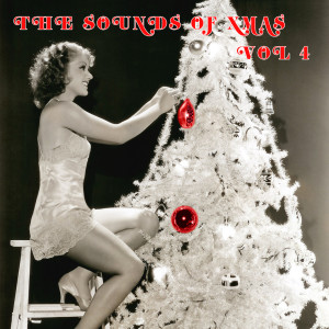 Listen to We Wish You A Merry Xmas song with lyrics from Barking Classics