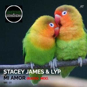 收聽Stacey James的Mi Amor (Radio Edit)歌詞歌曲