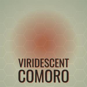 Various Artists的專輯Viridescent Comoro