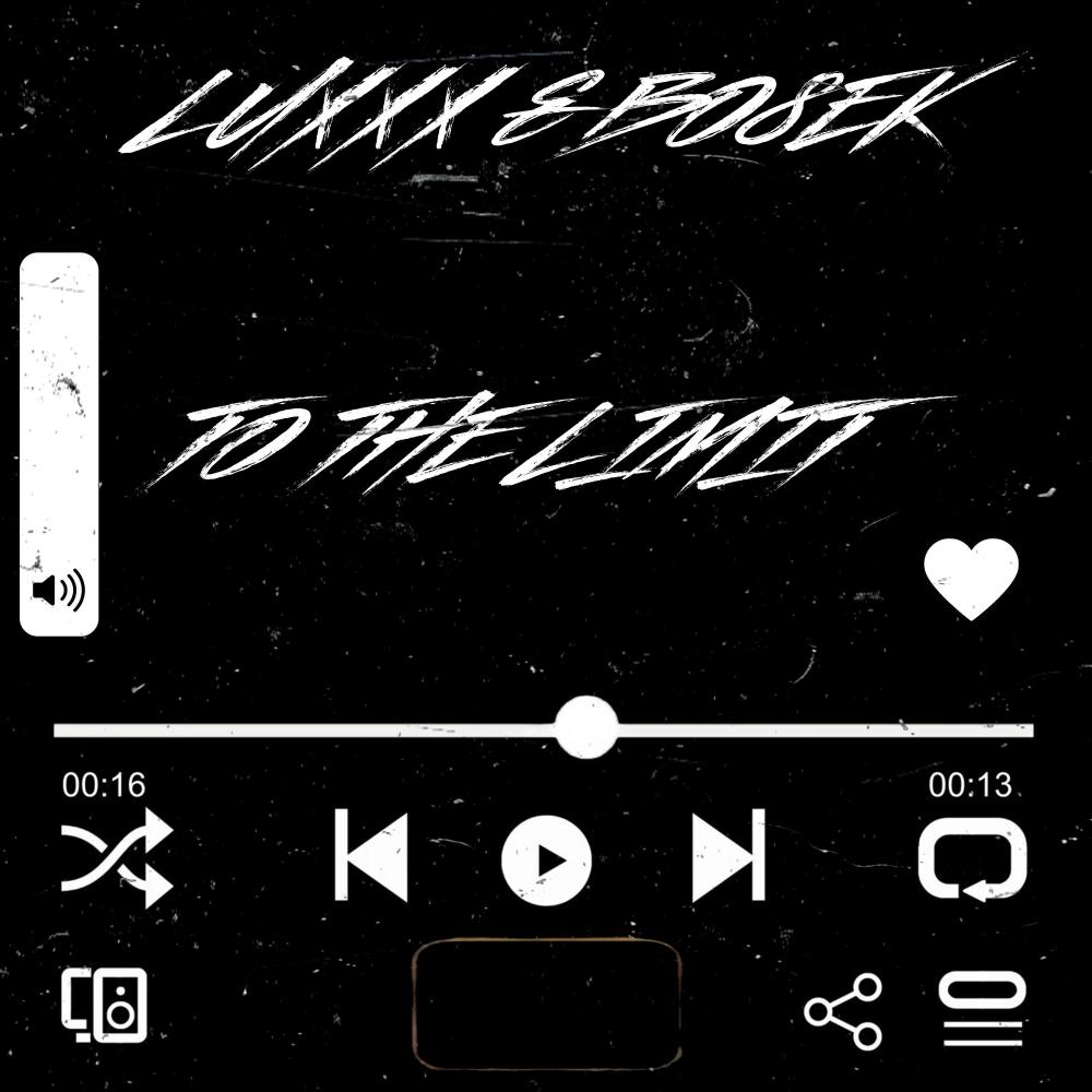 To The Limit (feat. Bo8eK)