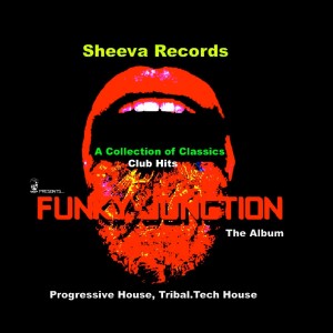 ดาวน์โหลดและฟังเพลง Orgasm (Vocal Club Mix) พร้อมเนื้อเพลงจาก Funky Junction