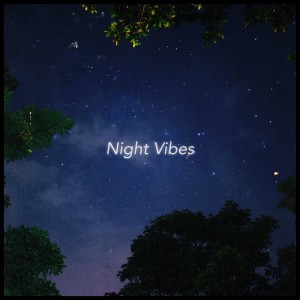 Album Night Vibes from lofichill