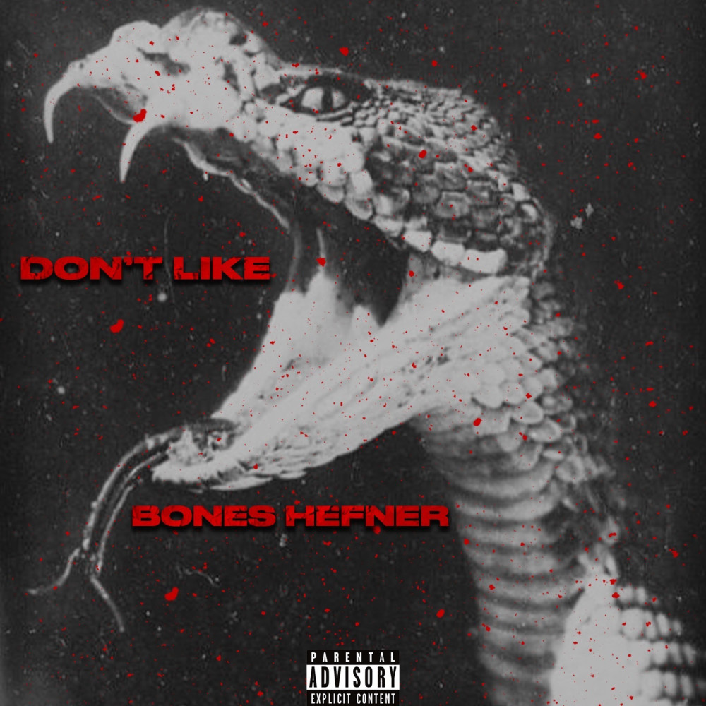 Don't Like (Explicit)