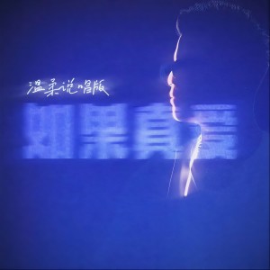 Album 如果真爱（温柔说唱版） from TE27