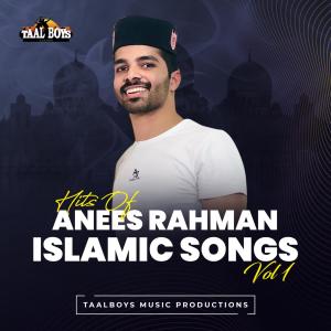 Dengarkan lagu La La Thahsab nyanyian Anees Rahman Taliparamba dengan lirik