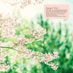 收听Flower of love的Message Of Love歌词歌曲