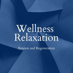 อัลบัม Erosion and Regeneration - Wellness Relaxation ศิลปิน Seeking Blue