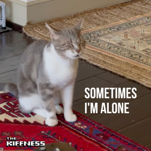 收听The Kiffness的Sometimes I'm Alone (Lonely Cat)歌词歌曲