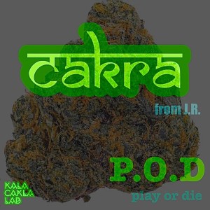 收听Cakra的P.O.D / play or die (Explicit)歌词歌曲