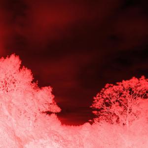 Listen to Roleplay (LXRD KRXWN Remix) (LXRD KRXWN Remix|Explicit) song with lyrics from Biv