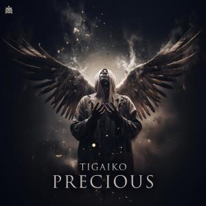 Tigaiko的專輯Precious