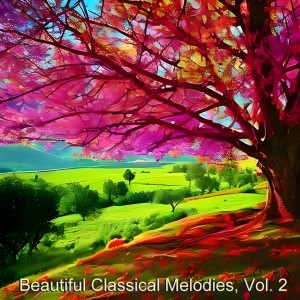 Album Beautiful classical melodies, Vol. 2 from Bronislaw Huberman