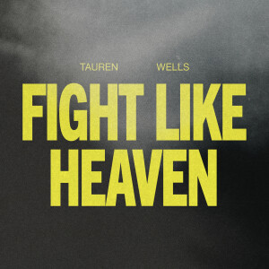 อัลบัม Fight Like Heaven ศิลปิน 
