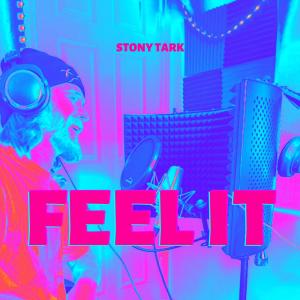 ดาวน์โหลดและฟังเพลง Feel It (Explicit) พร้อมเนื้อเพลงจาก Stony Tark