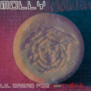 ดาวน์โหลดและฟังเพลง Molly (Explicit) พร้อมเนื้อเพลงจาก Lil Dread FDG