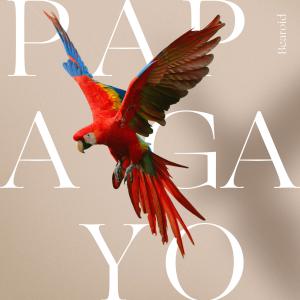 Bearoid的專輯Papagayo