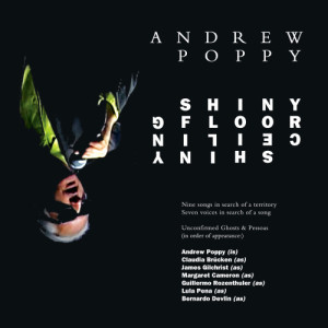 Andrew Poppy的專輯Shiny Floor Shiny Ceiling (Explicit)