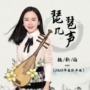 Listen to 琵琶几声 (完整版) song with lyrics from 魏新雨