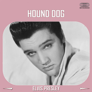 ดาวน์โหลดและฟังเพลง Hound Dog พร้อมเนื้อเพลงจาก Elvis Presley