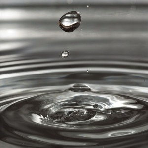 Listen to レゾンデートル (feat. 重音テト) song with lyrics from Duric