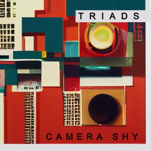 Triads的專輯Camera Shy